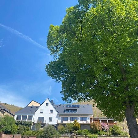 Chateau-De-La-Moselle Kinheim Eksteriør billede
