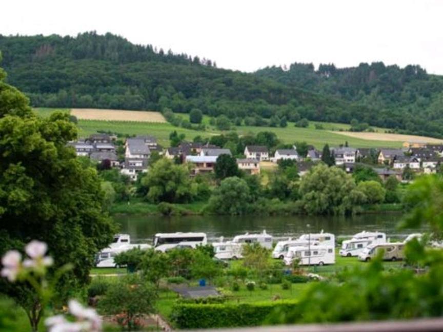 Chateau-De-La-Moselle Kinheim Eksteriør billede