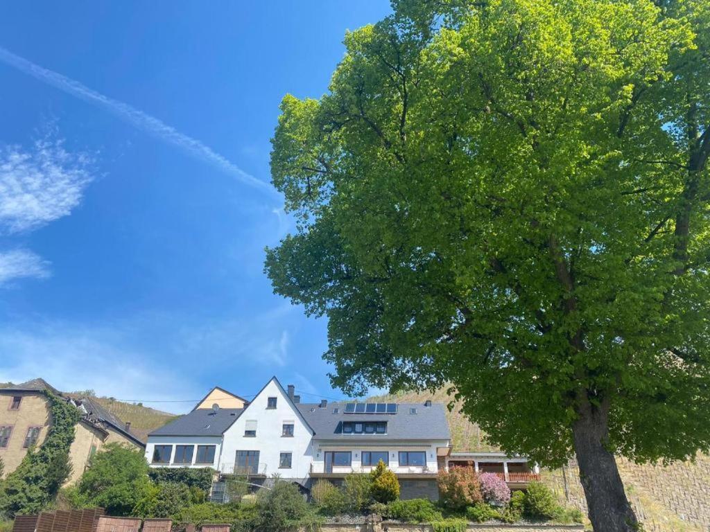 Chateau-De-La-Moselle Kinheim Eksteriør billede
